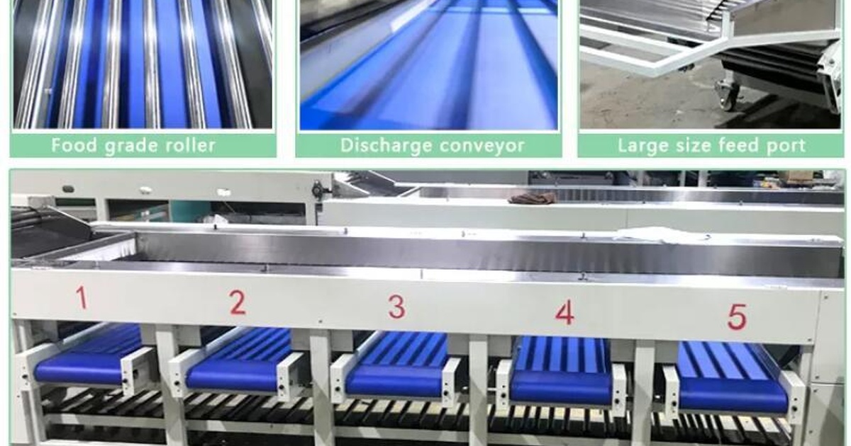 OR-10T-L1-GRD-Sorting-26-007